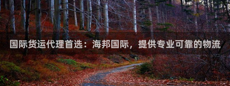尊龙ktv怎么样：国际货运代理首选：海邦国际，提供专业可
