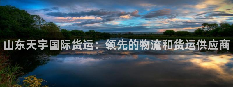 尊龙新版官网网页版：山东天宇国际货运：领先的物流和货运供