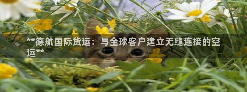 尊龙d88官网登录下载：**德航国际货运：与全球客户建立