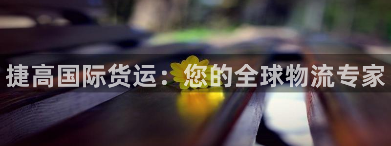 尊龙d88官网准认来就送38：捷高国际货运：您的全球物流