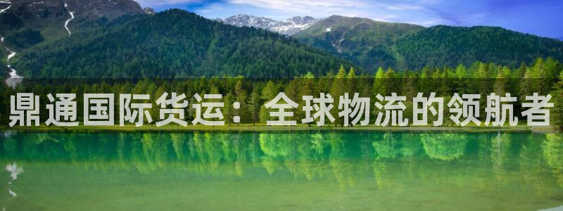 尊龙凯时能不能提现?：鼎通国际货运：全球物流的领航者