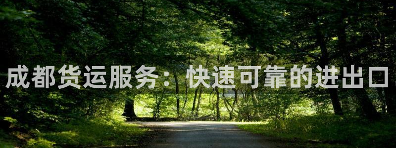 尊龙t600怎么样：成都货运服务：快速可靠的进出口