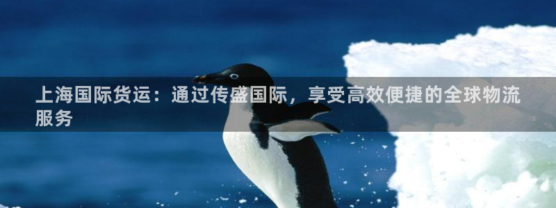 尊龙d88手机app免费下载：上海国际货运：通过传盛国际