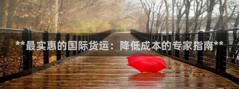 尊龙登录地址：**最实惠的国际货运：降低成本的专家指南*