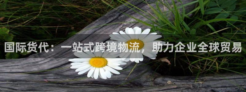 尊龙-人生就是博!：国际货代：一站式跨境物流，助力企业全