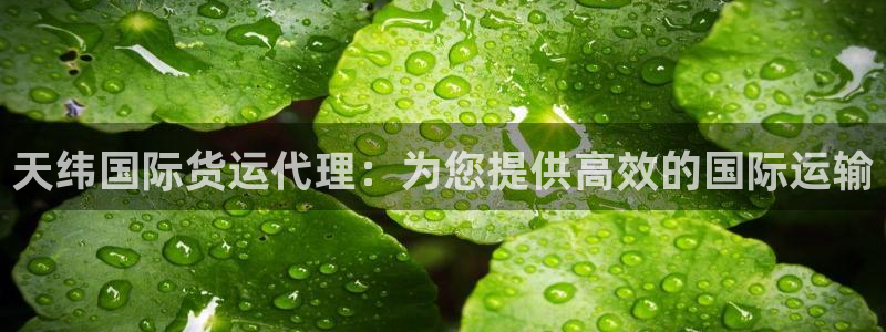 尊龙凯时官网正规吗：天纬国际货运代理：为您提供高效的国际