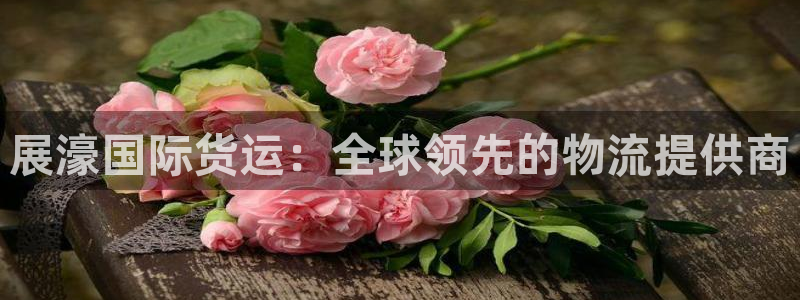 尊龙凯时提现不了：展濠国际货运：全球领先的物流提供商