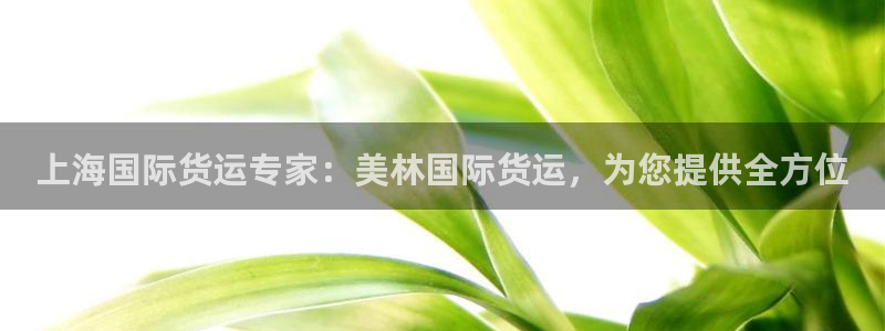 尊龙现金推荐ag发财网：上海国际货运专家：美林国际货运，