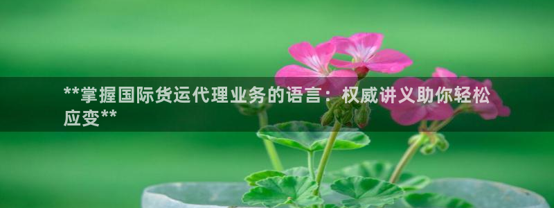 尊龙凯时注册：**掌握国际货运代理业务的语言：权威讲义助