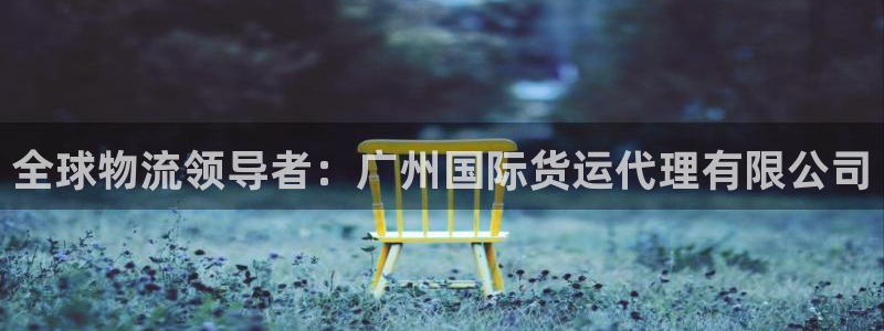尊龙凯时网站不让提款：全球物流领导者：广州国际货运代理有