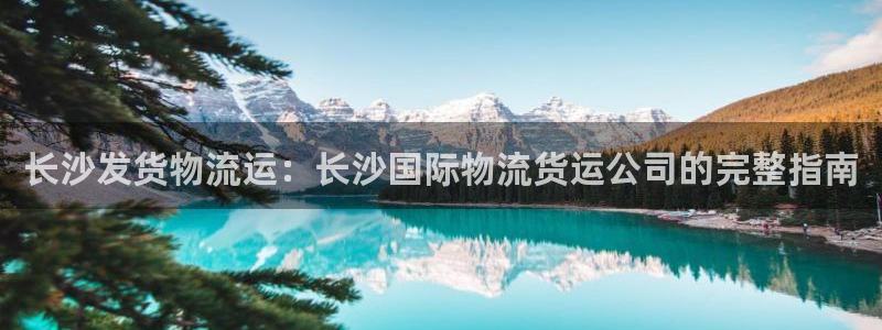 尊龙内地：长沙发货物流运：长沙国际物流货运公司的完整指南