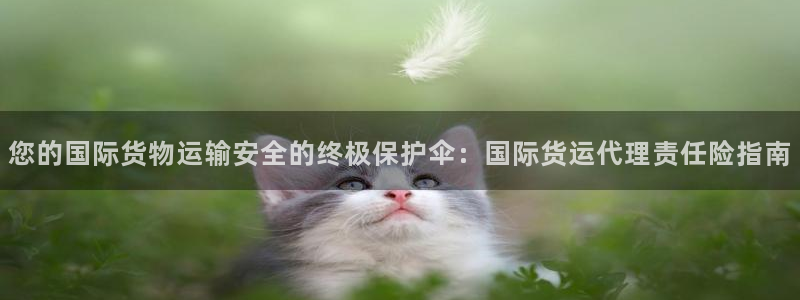 尊龙z6网址：您的国际货物运输安全的终极保护伞：国际货运