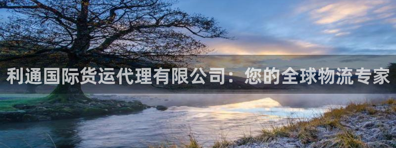 尊龙凯时人生就是博·(中国)官网首页：利通国际货运代理有