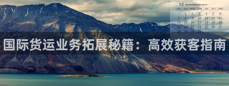 尊龙体育怎么样：国际货运业务拓展秘籍：高效获客指南