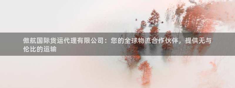 尊龙凯时官网正规吗：傲航国际货运代理有限公司：您的全球物