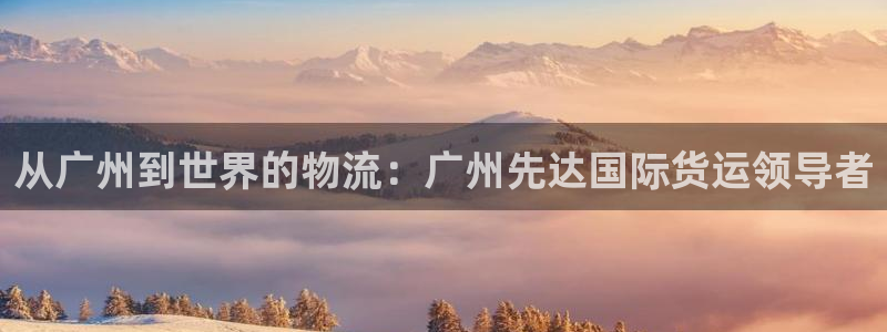 尊龙-人生就是博：从广州到世界的物流：广州先达国际货运领