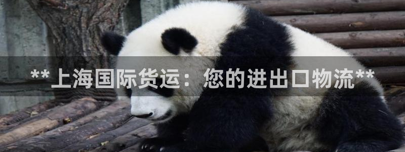 尊龙人生就是博一下下：**上海国际货运：您的进出口物流*