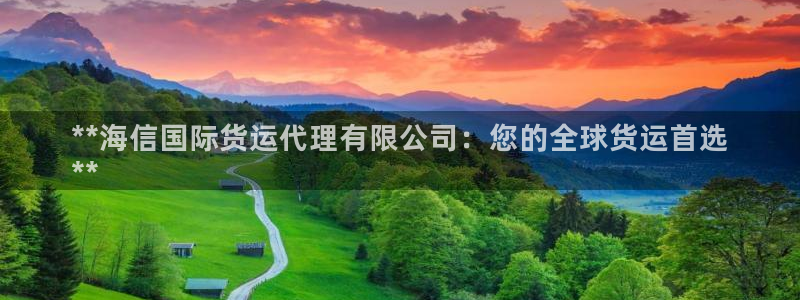 尊龙凯时存款不上分：**海信国际货运代理有限公司：您的全