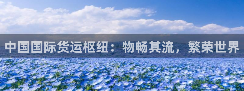尊龙凯时取款有要求吗：中国国际货运枢纽：物畅其流，繁荣世