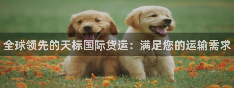 z6尊龙凯时旗：全球领先的天标国际货运：满足您的运输需求