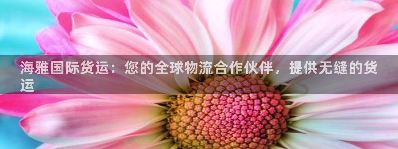 尊龙ag旗舰厅官网·(中国)官方入口：海雅国际货运：您的