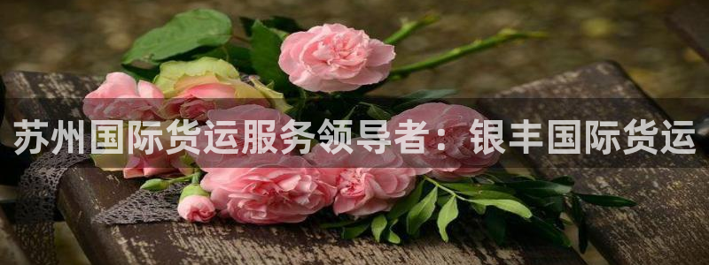 尊龙凯时提款一直审核中：苏州国际货运服务领导者：银丰国际