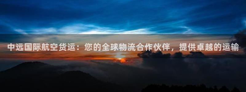 尊龙凯时充值不到账：中远国际航空货运：您的全球物流合作伙