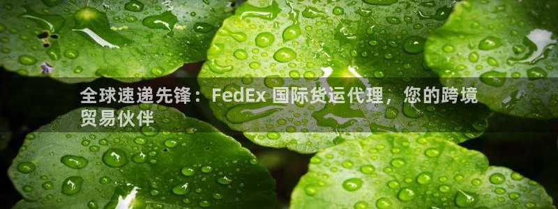 尊龙凯时有封银行卡的吗：全球速递先锋：FedEx 国际货