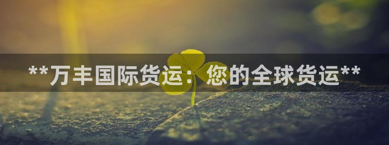 尊龙人生就是搏：**万丰国际货运：您的全球货运**