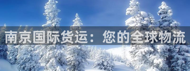 尊龙凯时人生就是搏首页：南京国际货运：您的全球物流