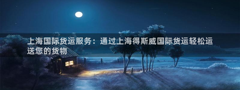 尊龙官网/首选kpm：上海国际货运服务：通过上海得斯威国