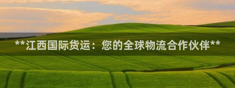 尊龙人生就是博管网：**江西国际货运：您的全球物流合作伙