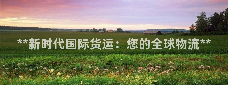 尊龙凯时人生就是搏!平台：**新时代国际货运：您的全球物