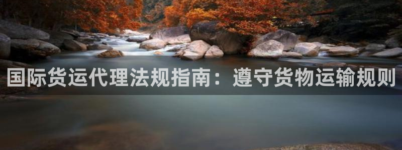 尊龙凯时人生就是博·(中国)官网：国际货运代理法规指南：