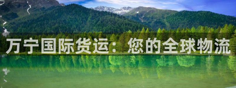 尊龙体育电竞官网：万宁国际货运：您的全球物流