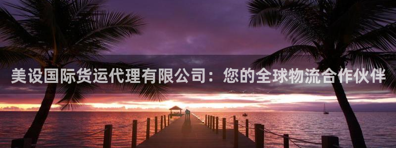 尊龙500价格：美设国际货运代理有限公司：您的全球物流合