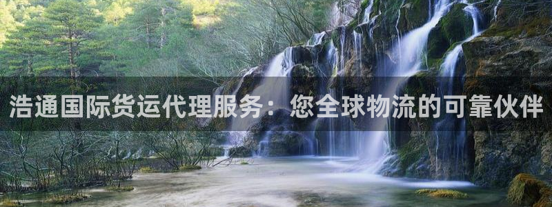 尊龙体育电竞官网：浩通国际货运代理服务：您全球物流的可靠