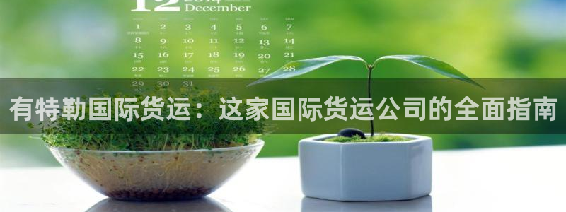 尊龙凯时人生就是博中国官网：有特勒国际货运：这家国际货运