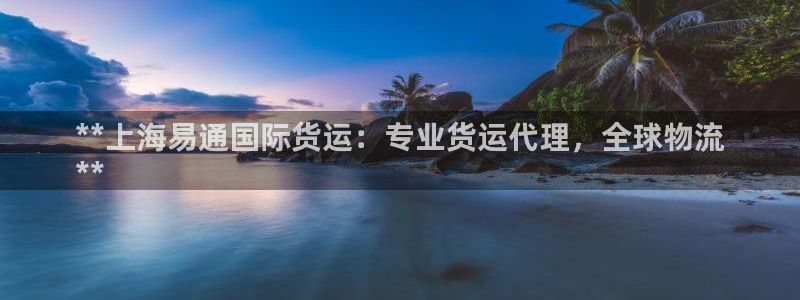 尊龙凯时人生就博：**上海易通国际货运：专业货运代理，全