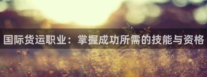 尊龙凯时下载人生就是博：国际货运职业：掌握成功所需的技能