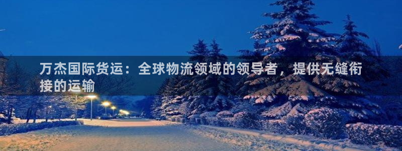 尊龙实业有限公司是正规还是仿：万杰国际货运：全球物流领域