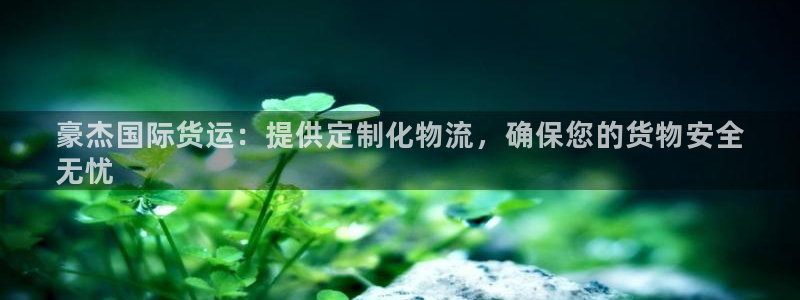 尊龙凯时登陆网址：豪杰国际货运：提供定制化物流，确保您的