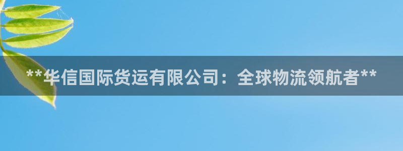 尊龙凯时充十万返现多少：**华信国际货运有限公司：全球物