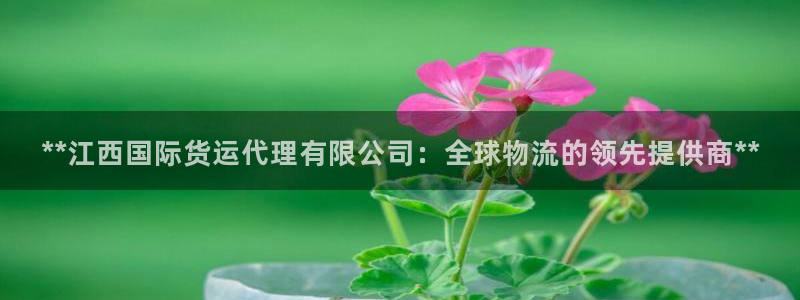 尊龙凯时老板：**江西国际货运代理有限公司：全球物流的领