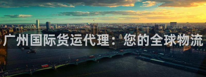 尊龙凯时凯发官网：广州国际货运代理：您的全球物流