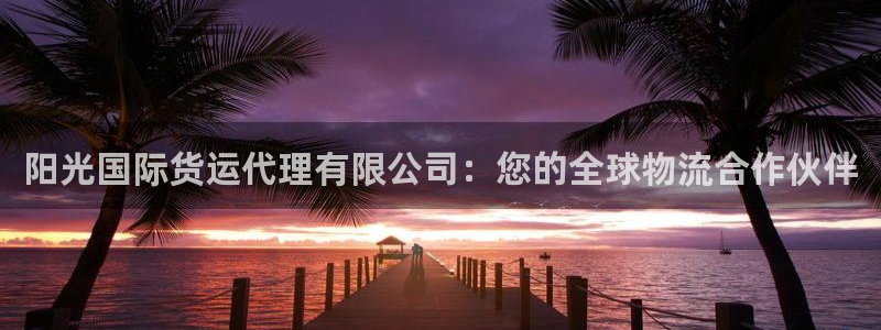 尊龙凯时取款24小时不到账：阳光国际货运代理有限公司：您