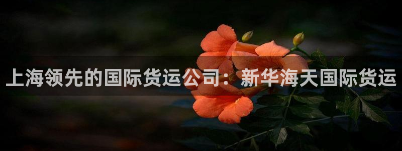 尊龙凯时官网入口：上海领先的国际货运公司：新华海天国际货