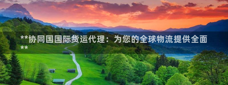 尊龙t200：**协同国国际货运代理：为您的全球物流提供
