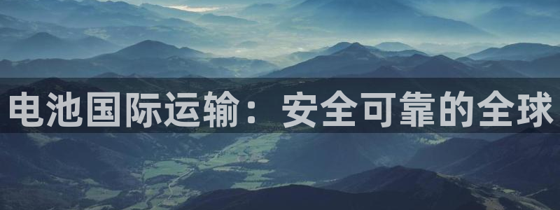 尊龙新版app：电池国际运输：安全可靠的全球