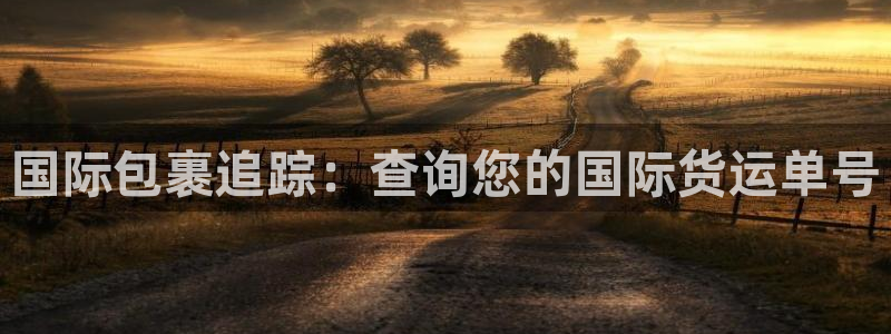 尊龙集团有限公司：国际包裹追踪：查询您的国际货运单号